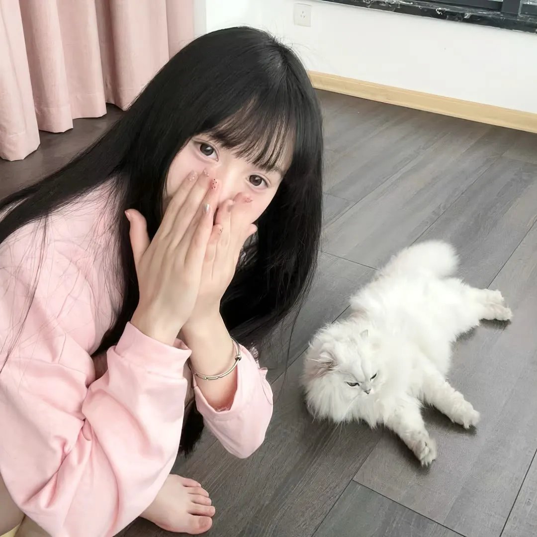美人脸