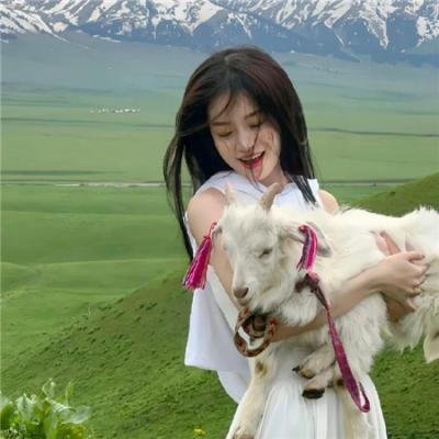 孤恋花