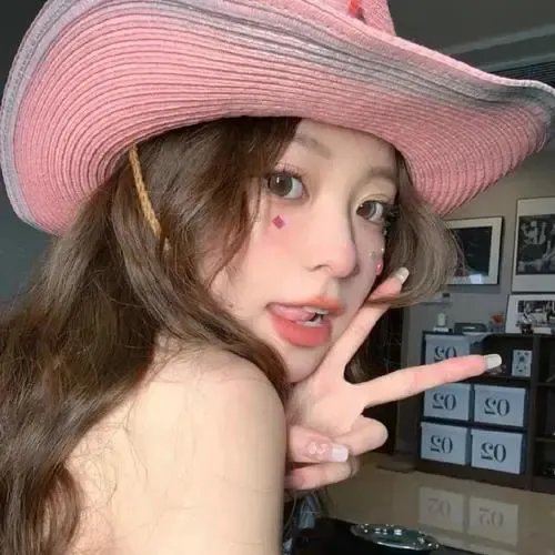 美国叛徒：轴心莎莉的审判